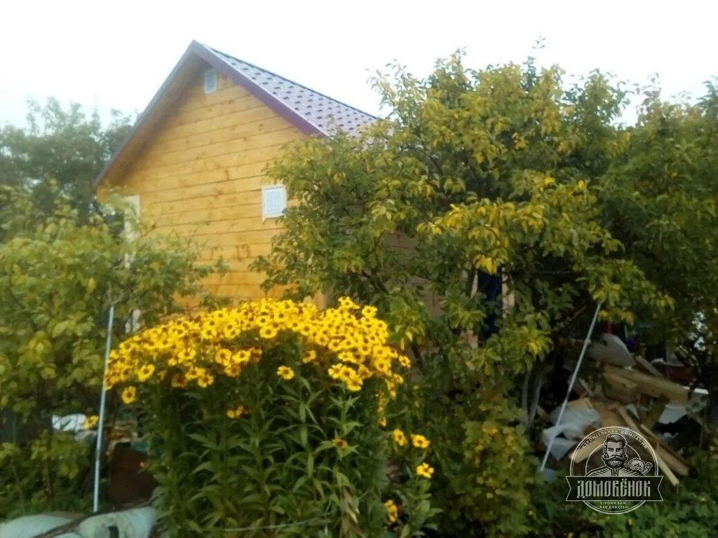 timber_project